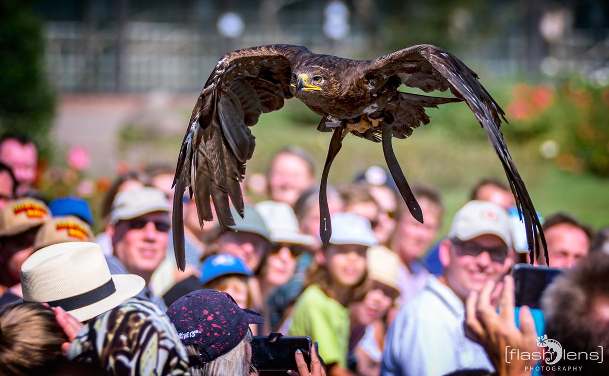 Weltvogelpark 086