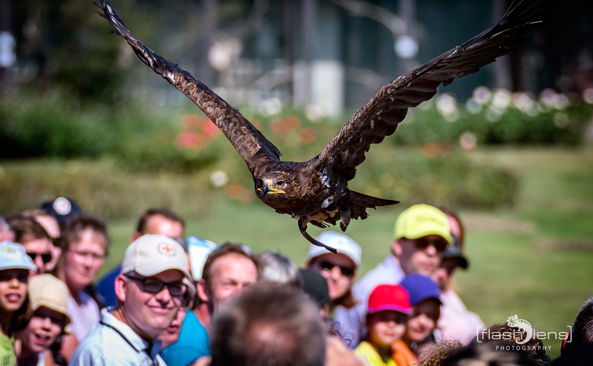 Weltvogelpark 087