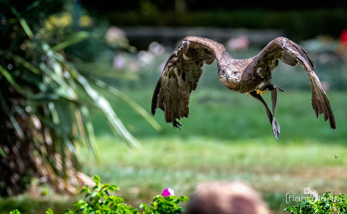Weltvogelpark 089