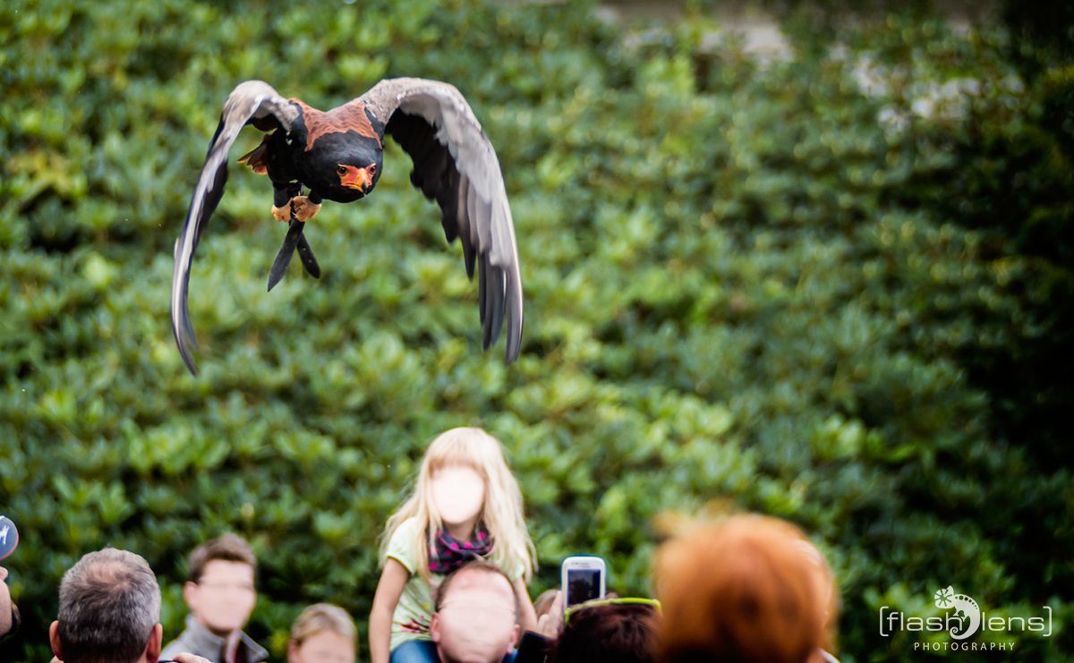 Weltvogelpark 093