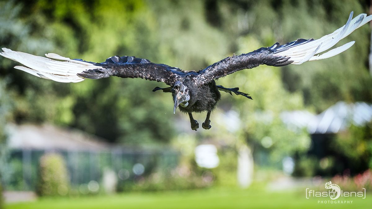 Weltvogelpark 099