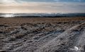 01 Reykavik und Umgebung 038