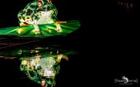 Chinese Light Festival 008