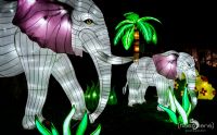 Chinese Light Festival 014