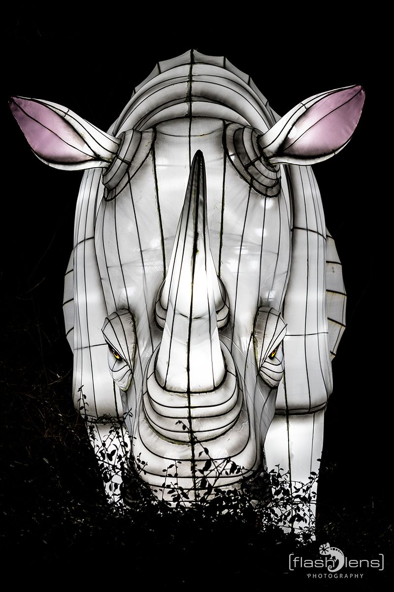 Chinese Light Festival 015