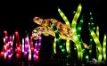 Chinese Light Festival 019