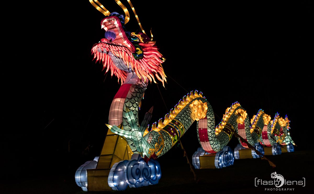 Chinese Light Festival 020