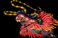Chinese Light Festival 021