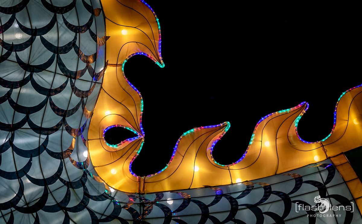 Chinese Light Festival 022