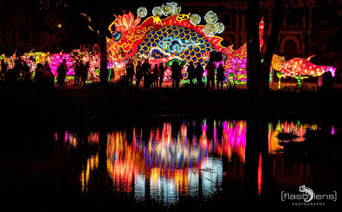 Chinese Light Festival 023