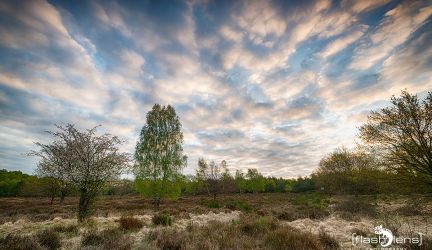 Wahner Heide