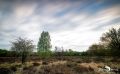 Wahner Heide 002