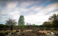 Wahner Heide 002