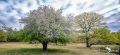 Wahner Heide 003