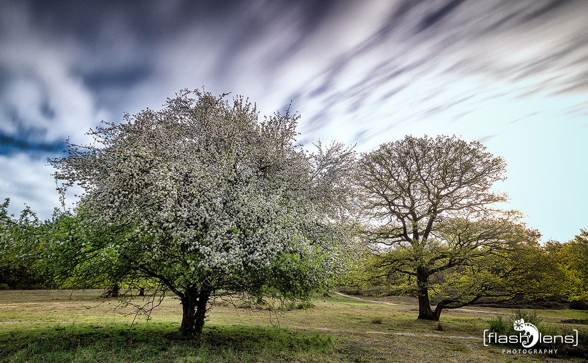 Wahner Heide 004