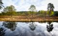Wahner Heide 005