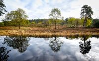 Wahner Heide 005