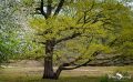 Wahner Heide 013