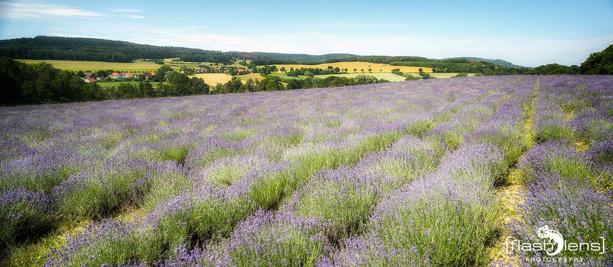 Petit Provence 009