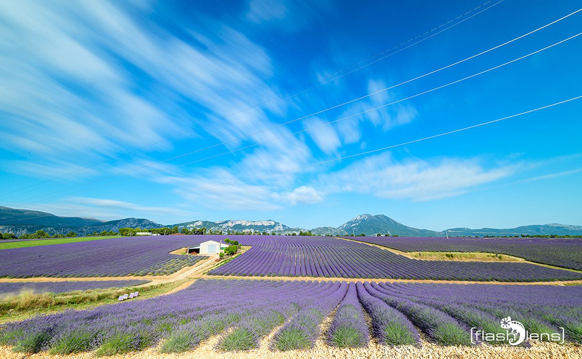 Provence 2020 007