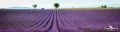 Provence 2020 008