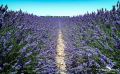 Provence 2020 015