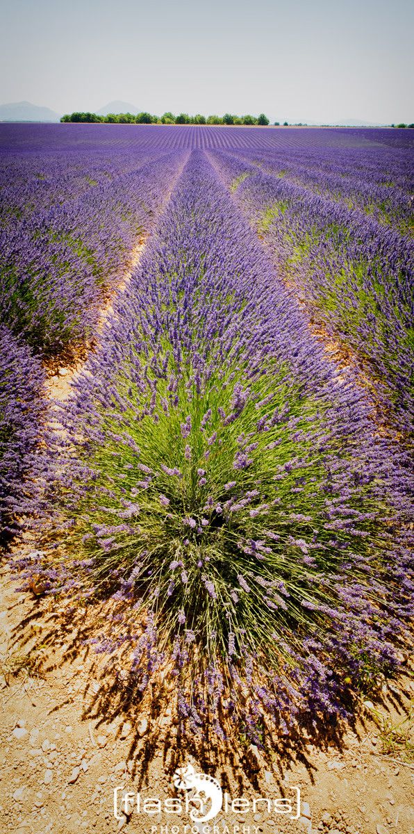 Provence 2020 019