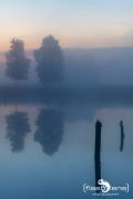 01Pietzmoor002