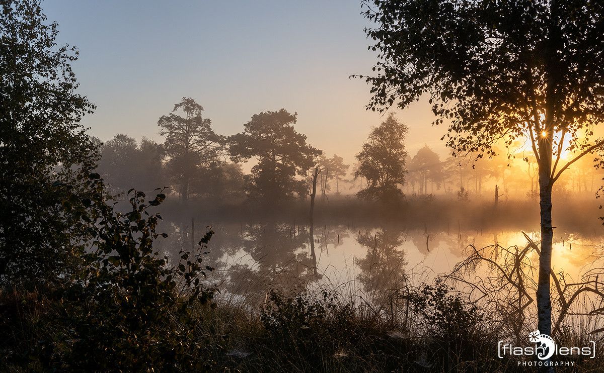 01Pietzmoor005