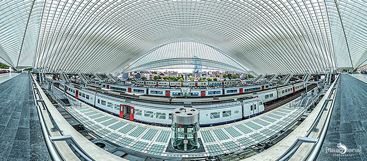Gare Guillemins 001