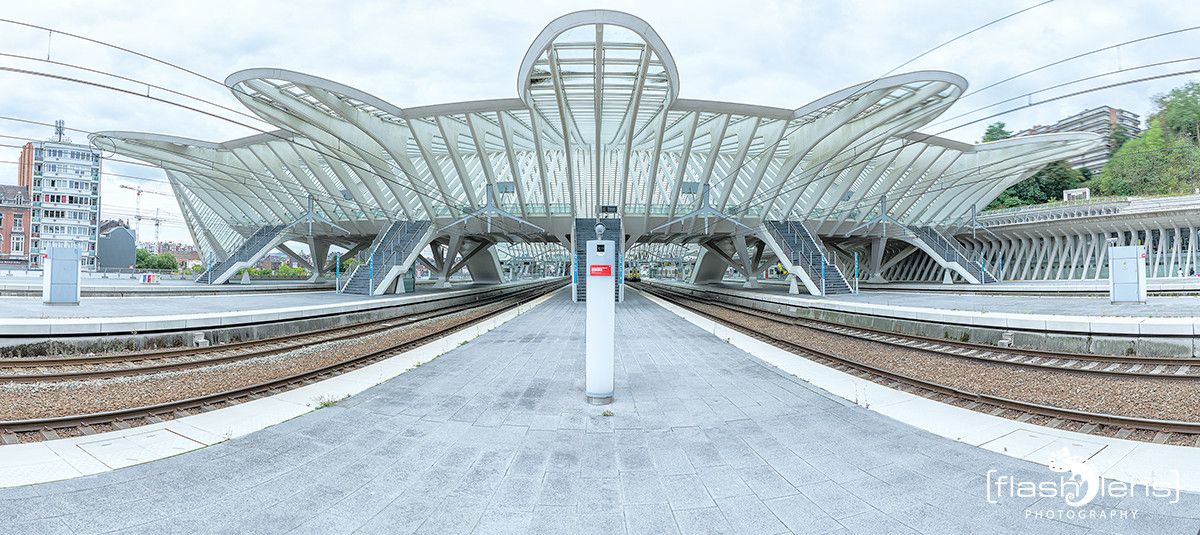 Gare Guillemins 002
