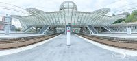 Gare Guillemins 002