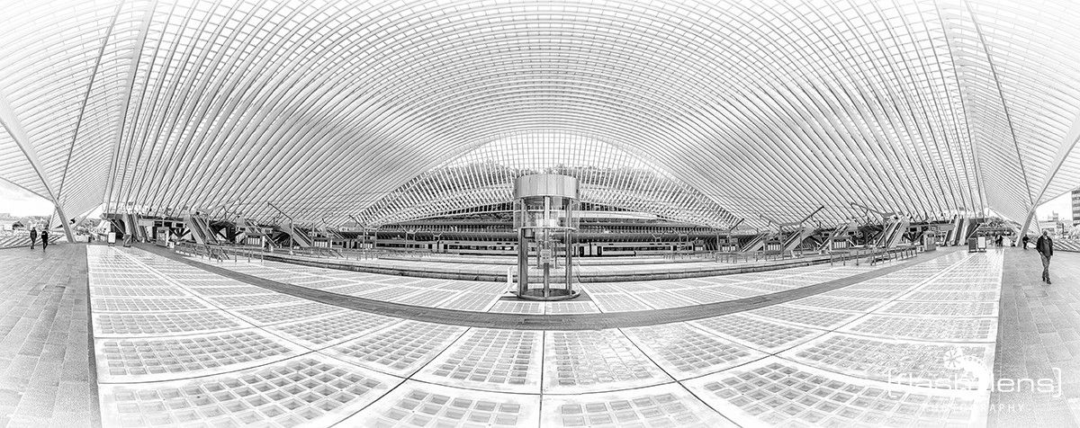 Gare Guillemins 003