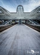 Gare Guillemins 010