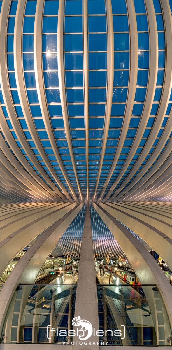 Gare Guillemins 013