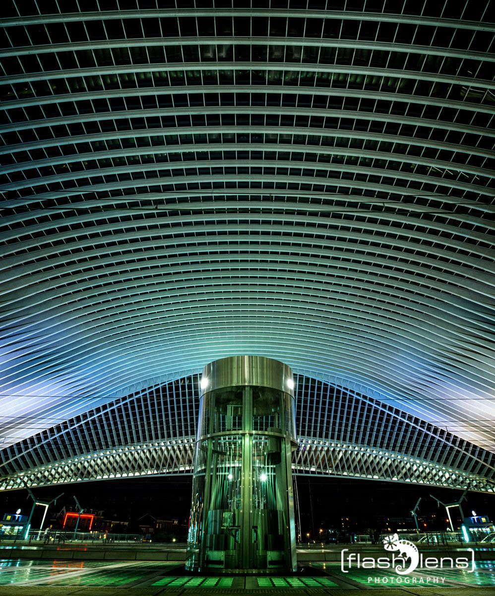 Gare Guillemins 015