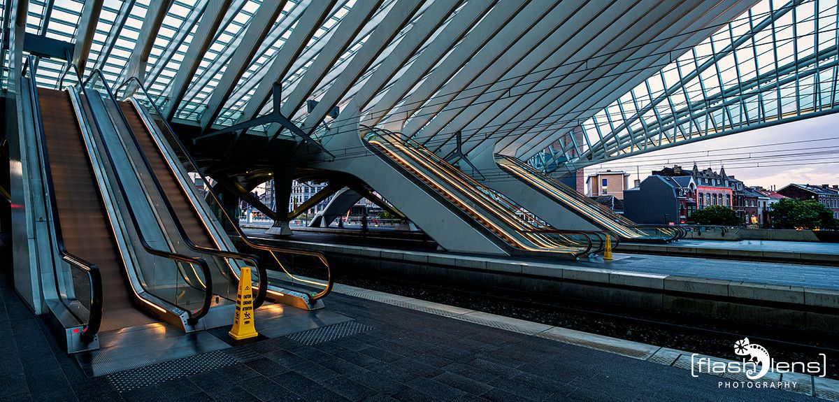 Gare Guillemins 016