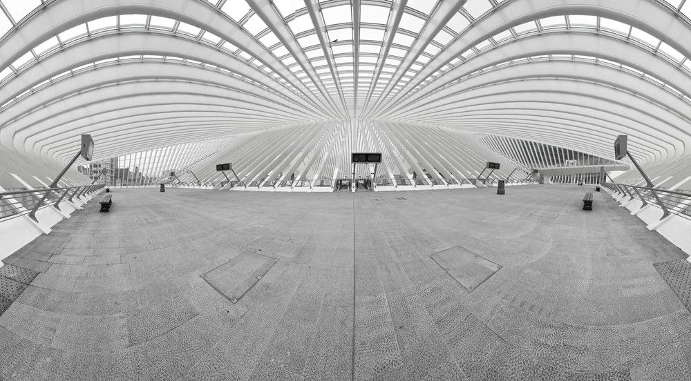 Gare Guillemins 031
