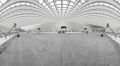 Gare Guillemins 031