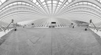 Gare Guillemins 031