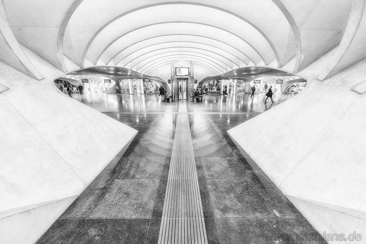 Gare Guillemins 055