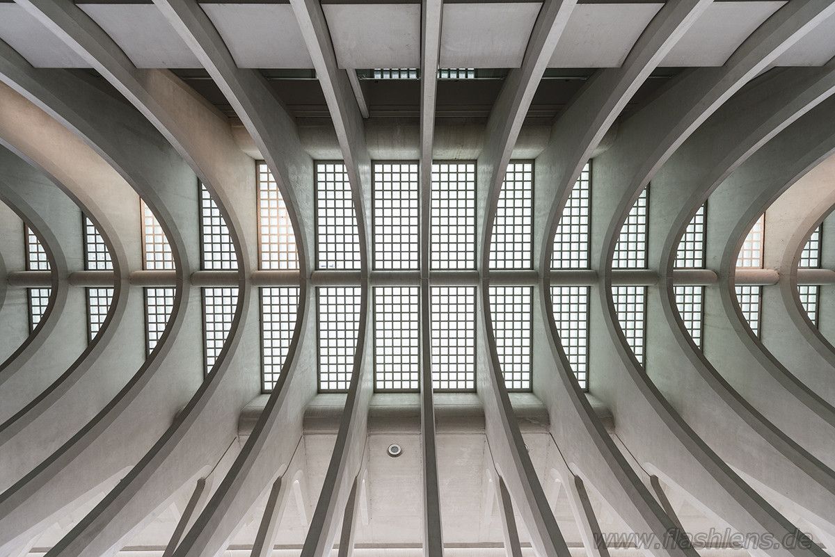 Gare Guillemins 058
