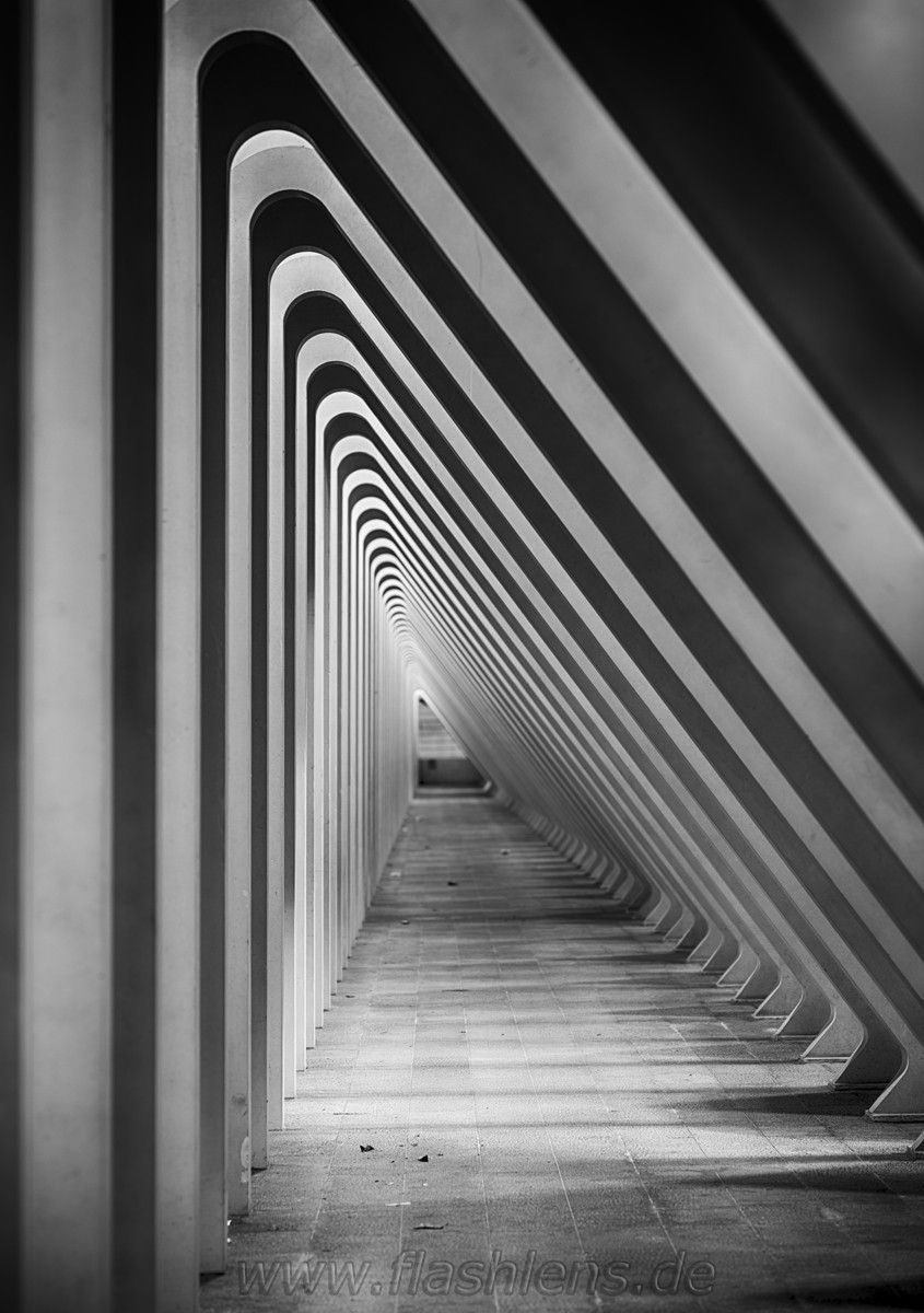 Gare Guillemins 074
