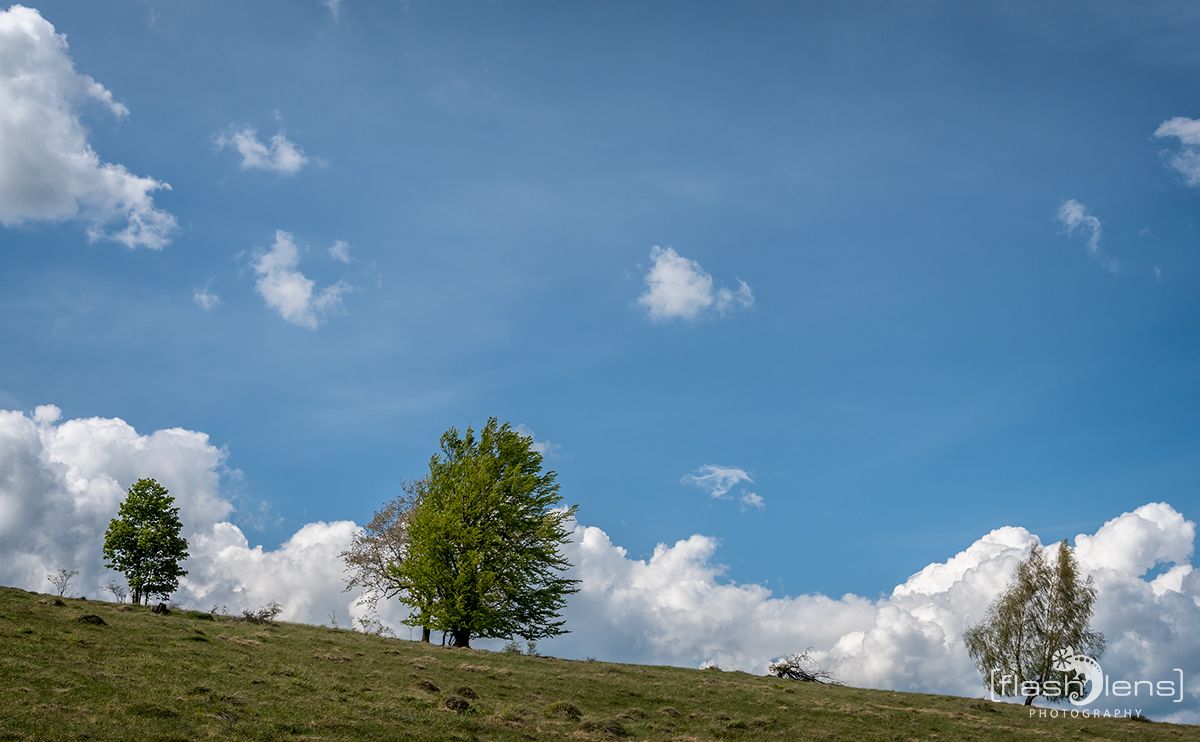 02 Wolfsberg 003