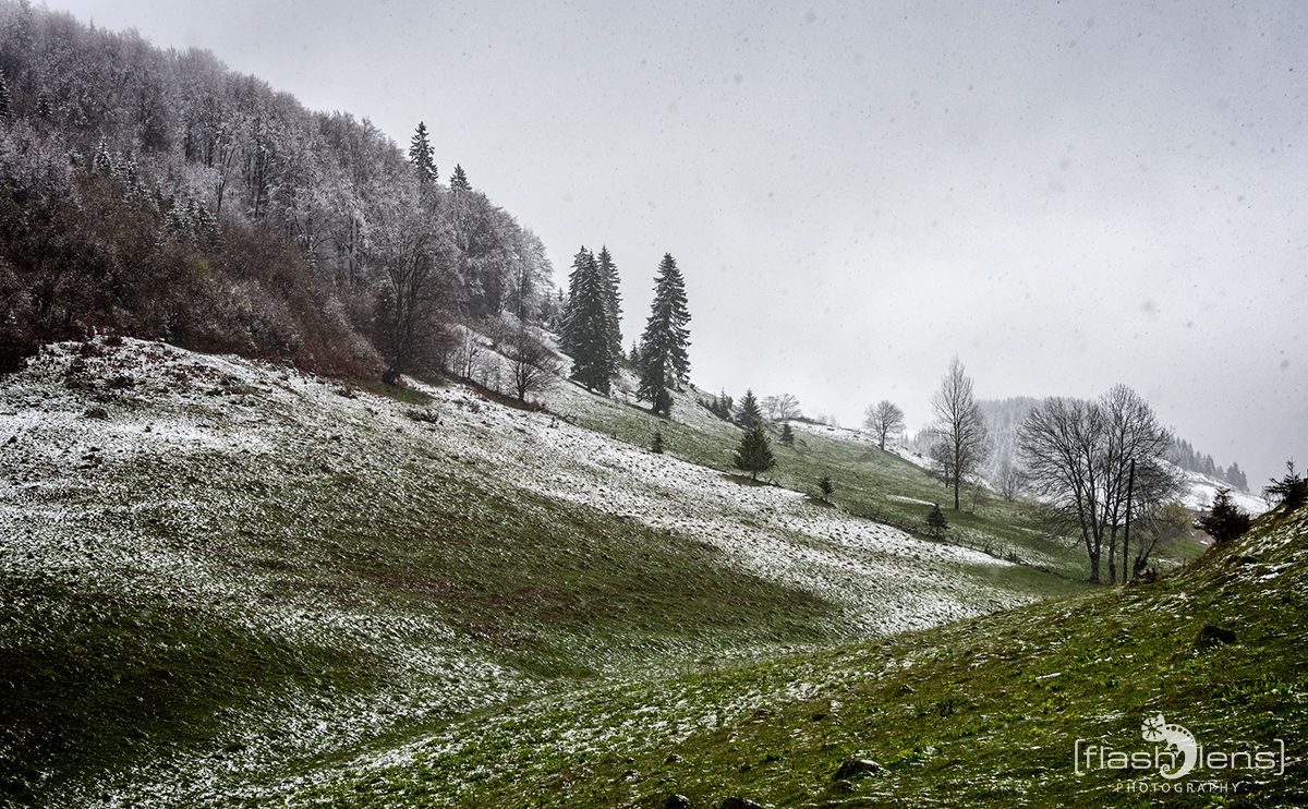 08 Sinaia 001