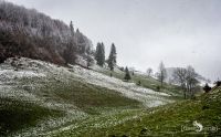 08 Sinaia 001