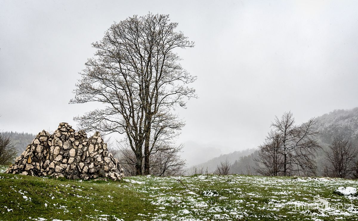 08 Sinaia 002