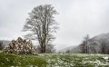 08 Sinaia 002