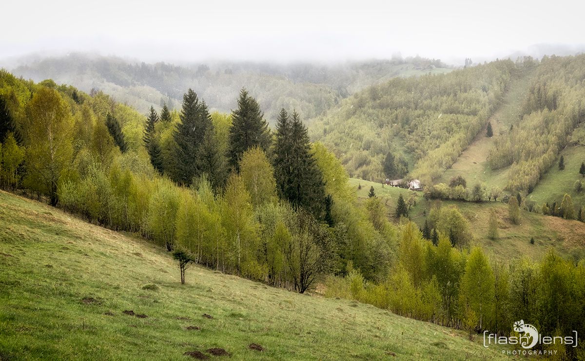 08 Sinaia 006