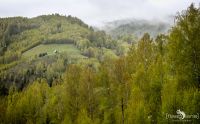 08 Sinaia 007